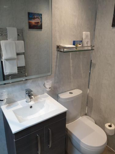 a bathroom with a sink and a toilet and a mirror at Compston House B & B in Ambleside