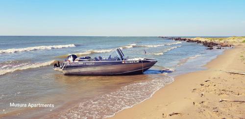 a boat sitting in the water on the beach at Musura Bay Apartments in Sulina