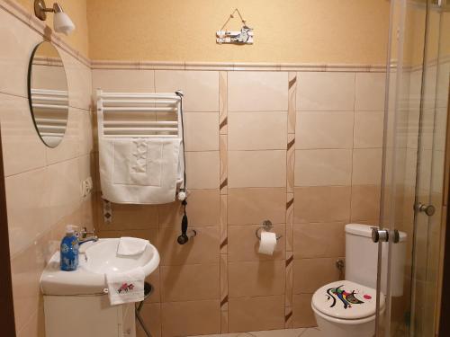 e bagno con doccia, servizi igienici e lavandino. di Pokoje Karkonosze a Przesieka