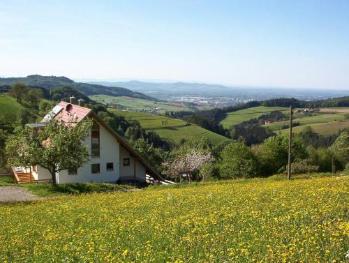 uma casa numa colina com um campo de flores em Ferienwohnung-Stadtblick em Horben
