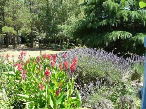 un jardin avec des fleurs roses et des plantes violettes dans l'établissement Villa L'ESTRADE, à Montréal