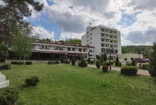 un gran edificio con césped frente a un edificio en Hotel Spa Cazino Monteoru, en Sărata-Monteoru