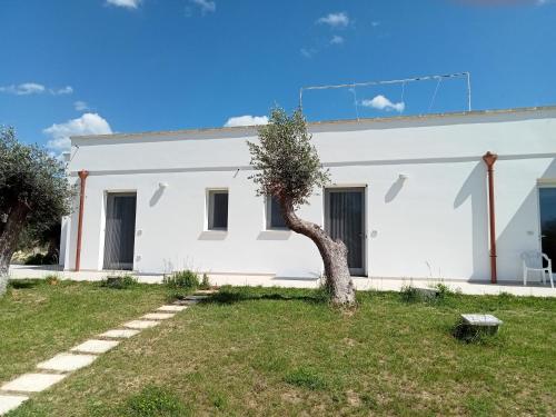 a white house with a tree in the yard at B&B Villa Bello in Otranto