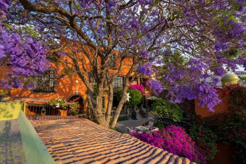 Taman di luar Casa Schuck Boutique Hotel