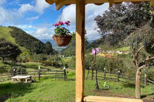a potted plant hanging from a gazebo at Un refugio en las montañas de Tabio in Tabio