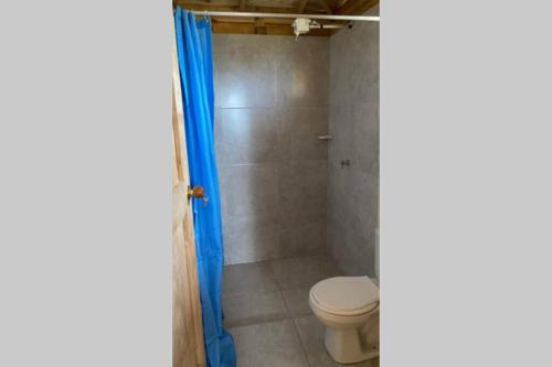a bathroom with a toilet and a shower at Un refugio en las montañas de Tabio in Tabio