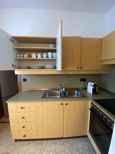 a kitchen with a sink and wooden cabinets at ALTSTADT-APARTMENTS Bad Radkersburg - Ihr Zuhause auf Reisen in Bad Radkersburg