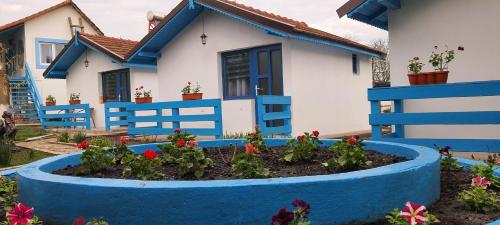 Imagem da galeria de Pensiunea Cristian em Murighiol