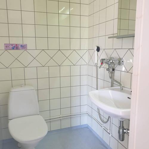 a bathroom with a toilet and a sink at Eckerö Camping & Stugor in Eckerö
