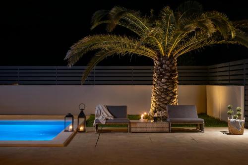 a palm tree next to a swimming pool at night at Belvedere Holidays Villas in Novigrad Istria