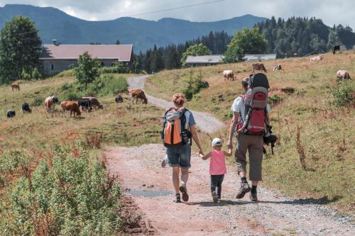 a couple and a child walking down a dirt road with cattle at Ferienhof Metzler in Schwarzenberg im Bregenzerwald