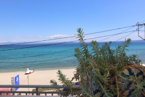 Φυσικό τοπίο κοντά σε αυτό το ξενοδοχείο διαμερισμάτων