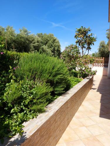 Imagen de la galería de La Ciaccia Casa Mariuccia 1, en Codaruina