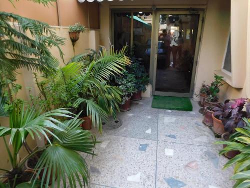 an entrance to a building with a bunch of plants at The City Lodge in Islamabad