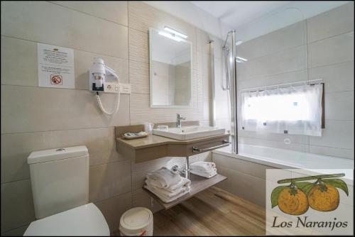 a bathroom with a toilet and a sink and a mirror at Hostal y Apartamento Rural Los Naranjos in Melegis