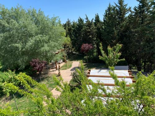 a park bench sitting in the middle of trees at Affitta Camere "Le Quercigliole" in Ripalimosani