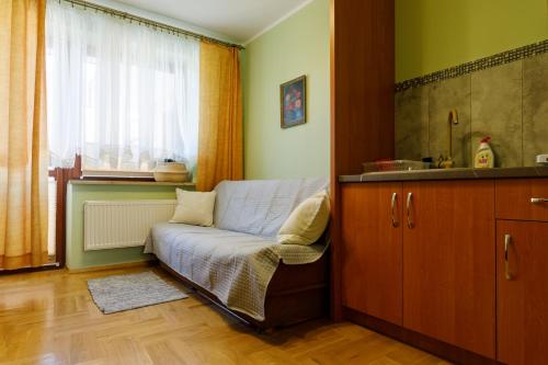 salon z kanapą i oknem w obiekcie Willa Maria w Muszynie