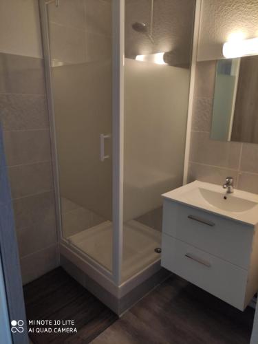une salle de bain avec douche et lavabo dans l'établissement La Désirade avec Parking- Port - WIFI couchage en 160 neuf, au Cap d'Agde