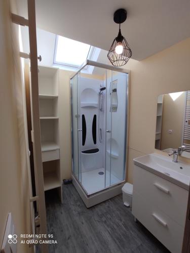 a bathroom with a shower and a sink and a mirror at Gîte Les Mariniers - 3 étoiles in Mareuil-sur-Cher