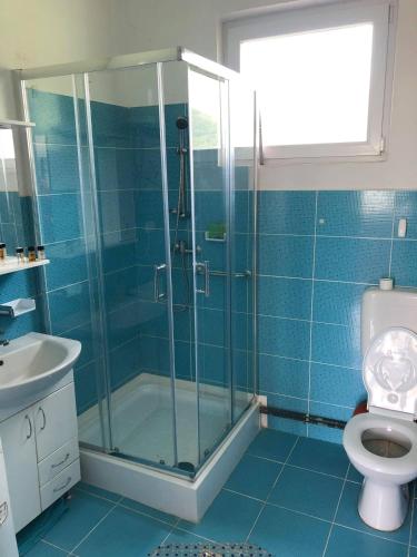 a blue bathroom with a shower and a toilet at Vila di Pau in Băile Herculane