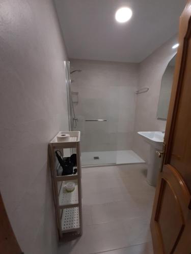 a bathroom with a shower and a toilet and a sink at Arriondas Toyos A in Arriondas