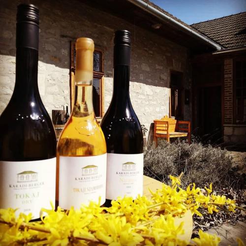 two bottles of wine sitting next to yellow flowers at Karádi-Berger Vendégház in Erdőbénye