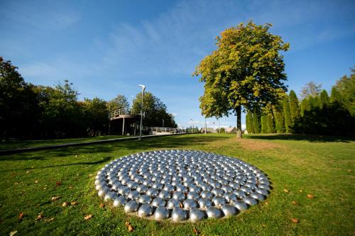 a large metal object in a field with a tree at Vila Kelmyne in Molėtai