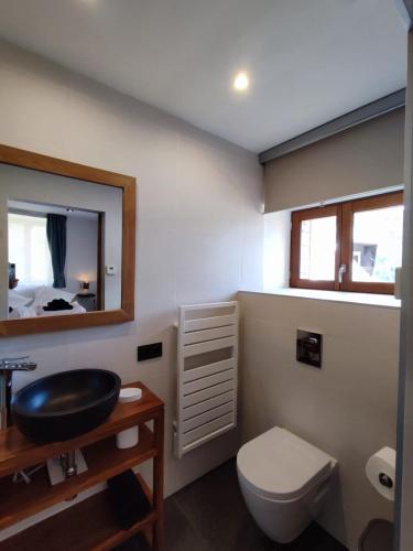 une salle de bain avec toilettes, lavabo et miroir dans l'établissement Chalet Le Petit Plus, à Vaujany