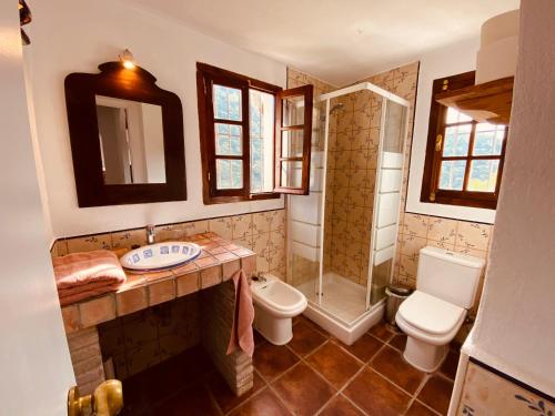 een badkamer met een douche, een toilet en een wastafel bij Finca Flores in Ojén
