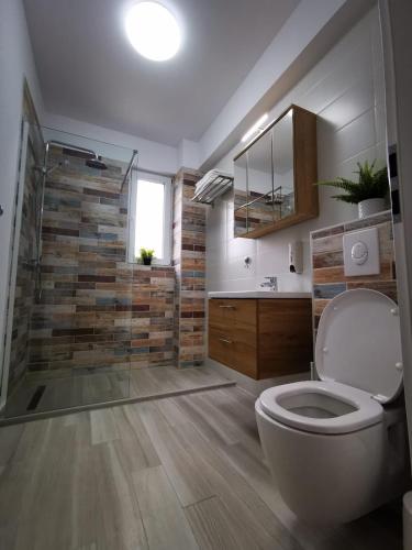 a bathroom with a toilet and a glass shower at Karra Residence Timisoara - autorizat Ministerul Turismului in Timişoara