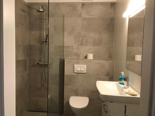 een badkamer met een douche, een toilet en een wastafel bij Reykjavik Hill Cosy Apartment in Reykjavík