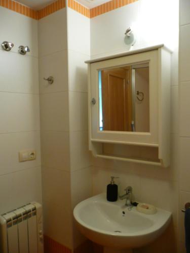 a bathroom with a sink and a mirror at Felechosa ski & senderismo in Felechosa