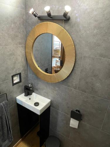 a bathroom with a sink and a mirror at Chalet de l'écluse in Namur