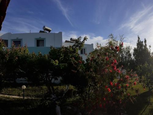 a white house with trees in front of it at Zikas apartments in Marmari