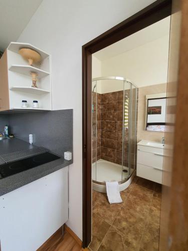 Koupelna v ubytování Apartmá na Hané