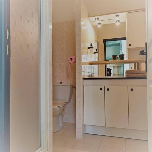 une salle de bain avec toilettes et lavabo dans l'établissement Maison la grande serre, à Blaslay