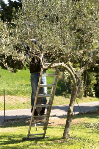 Bed&Breakfast Il Frantoio – Photos 4