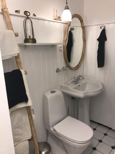 a small bathroom with a toilet and a sink at Skovgården in Hillerød