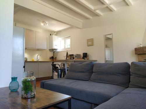 un salon avec un canapé bleu et une table dans l'établissement Eroso Saint Esprit proche gare WIFI bureaux, à Bayonne