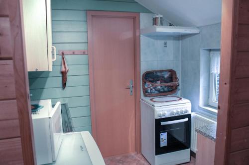 een keuken met een roze deur en een fornuis bij Ferienhaus Oertel in Annaberg-Buchholz