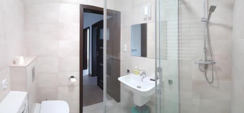 a bathroom with a shower and a sink and a toilet at Apartamenty Marynarki Wojennej, Dziwnów in Dziwnów