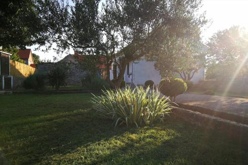 a yard with a tree and some grass and a house at Kuća za odmor "Joso" in Puljane