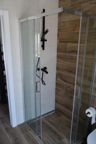 una ducha en un baño con puerta de cristal en Casa do Chão do Cruzeiro, en Arcozelo