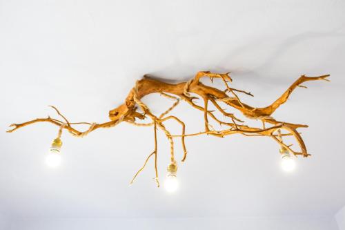 a branch with lights on a white wall at Gorgona Blue Apartments in Karpathos Town