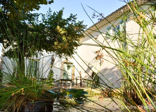 Κήπος έξω από το Maison Bersane