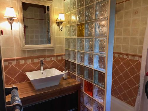 uma casa de banho com um lavatório e um espelho em Casa Rural Olivar de Gredos Entorno privilegiado con vistas de ensueño em Arenas de San Pedro