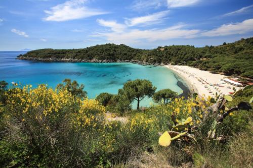 Gallery image of Appartamento Marea - La Tua Oasi sul Mare by HelloElba in Fetovaia