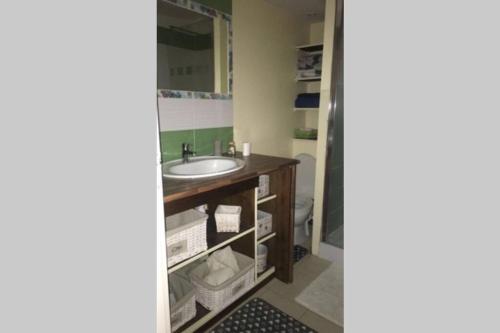 a bathroom with a sink and a mirror at Le Petit Ormeau attenant à la Tour du Portail Neuf in Laure-Minervois
