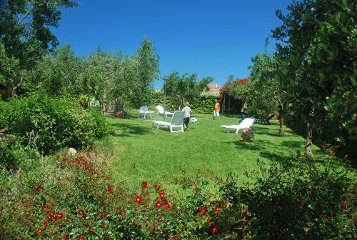 a group of chairs sitting in a yard at Agriturismo Villa Vetiche in Rocca San Giovanni