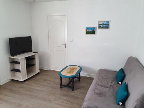 un salon avec un canapé et une télévision dans l'établissement Le gîte du Puits Aubert, à Brézé